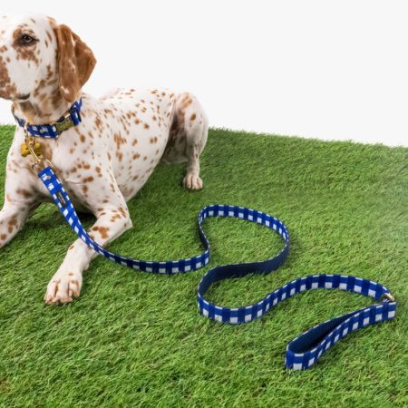 Kate Spade Outlet Navy Gingham Leash M/L - Preorder — Navy