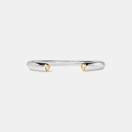 Silver / Gold