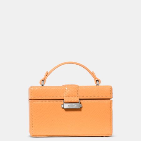 Kate Spade Outlet Heirloom Snake Vanity Bag - Preorder — Desert Sunset