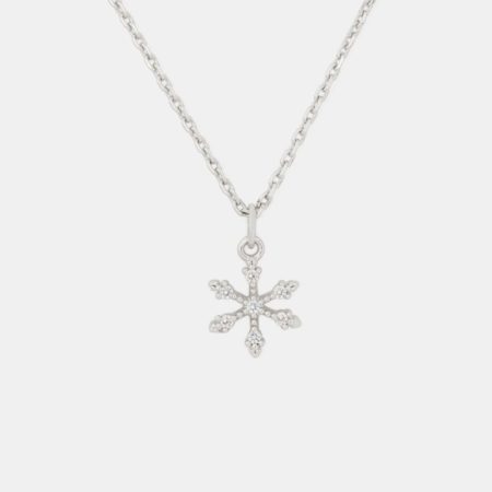 Clear / Silver