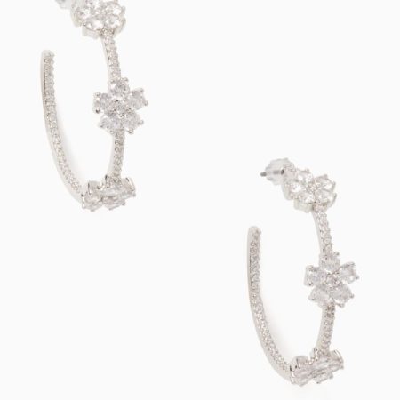 Clear / Silver