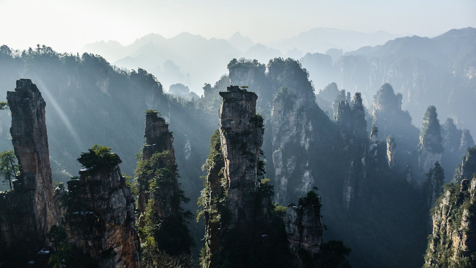 Misty sandstone pillars rise through morning light in Zhangjiajie National Forest Park