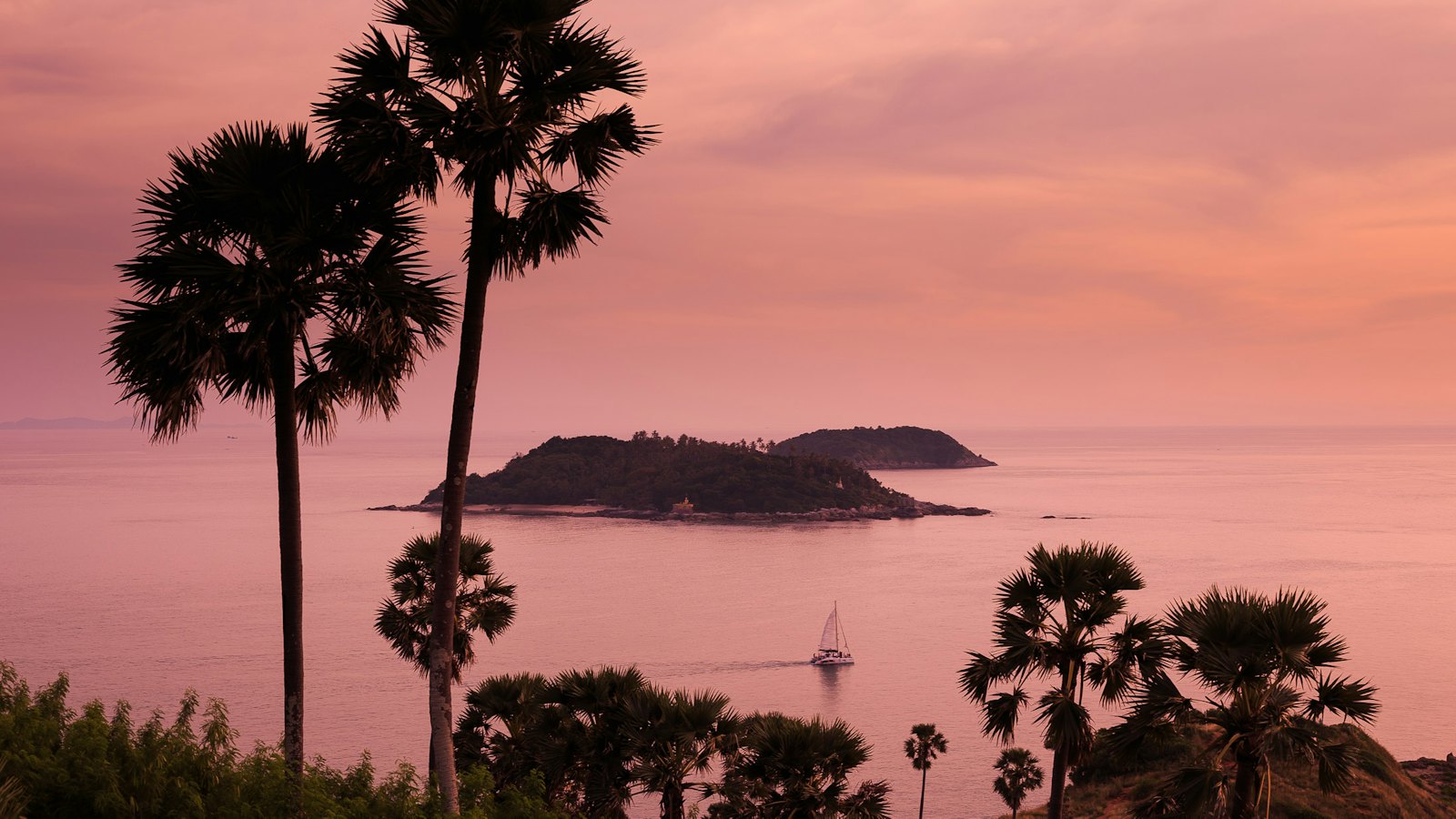 Palm trees and an island at sunset, Phuket