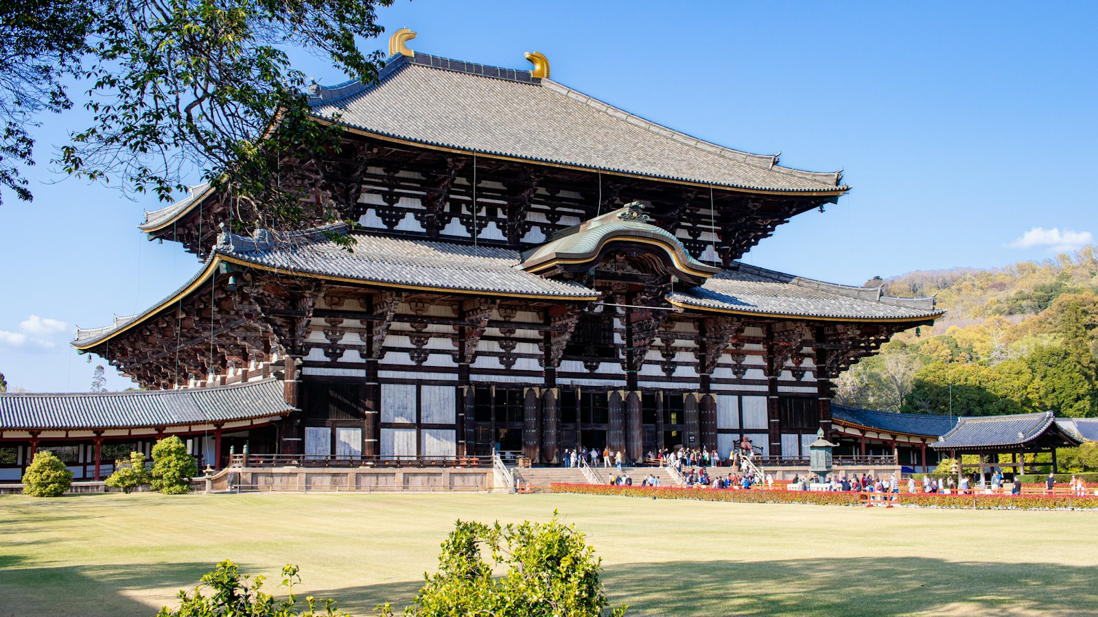 Todaiji Temple's great wooden hall framed by a lush lawn in Nara