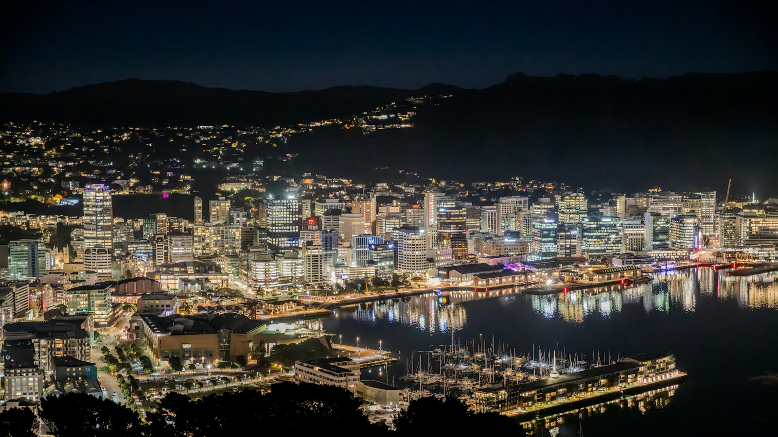 Wellington's illuminated skyline and harbour viewed from Mount Victoria at night
